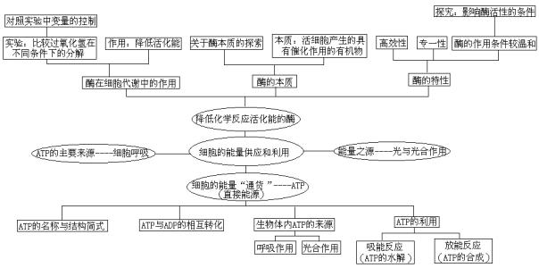 细胞的能量供应和利用 高一生物细胞的能量供应和利用知识点总结