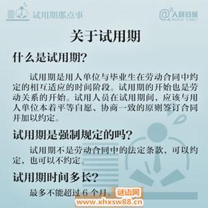 个人试用期工作学习总结范文3篇