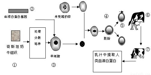 高二生物基因的本质章节复习要点