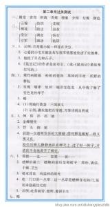 鲁教版四年级上册语文 鲁教版四年级上册语文第二单元检测试题及答案