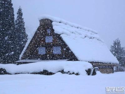 描写雪景的作文600字 描写雪景作文600字_写雪的作文600字以上