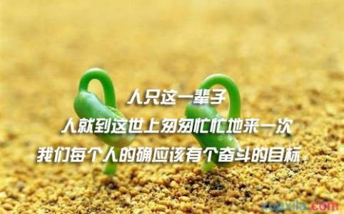 关于逆境与成功的诗句 关于逆境与成功的名言