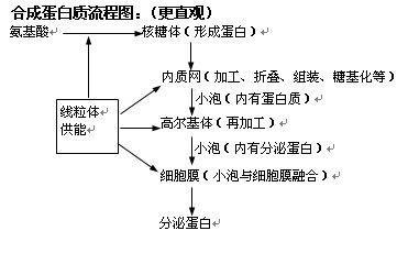 高一下学期生物知识点 高一生物《细胞的基本结构》知识点