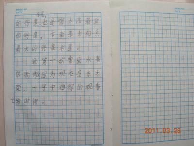 小学生作文家乡的变化 关于家乡环境的变化小学生作文600字范文5篇