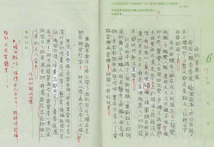 高中生周记800字大全 高中800字周记大全 高中周记800字左右 高中周记大全