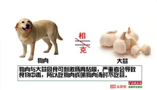 狗肉什么人不能吃 狗为什么不吃狗肉 狗不能吃的食物