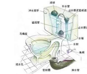 抽水马桶原理 抽水马桶的工作原理是怎样的, 抽水马桶使用要注意