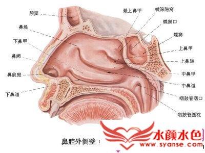 感冒鼻塞的原因 感冒鼻塞有哪些相关原因