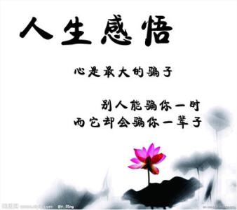 生活感悟文章 生活感悟文章精选阅读