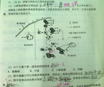 高中生物特异性免疫 高二生物《特异性免疫》学案设计