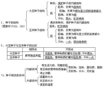 高一化学知识点整理 高一生物上册知识点整理