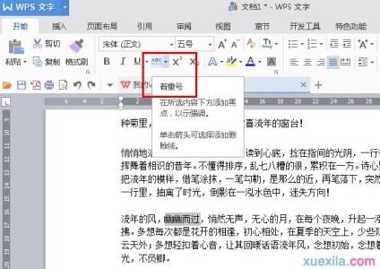 word文字添加着重号 wps文字怎样添加着重号