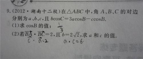 高三学生毕业鉴定评语 高三学生上学期末鉴定评语