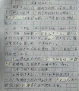 2015阅兵仪式观后感 阅兵仪式观后感日记400字