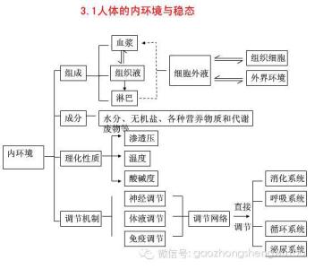 高中生物选修3知识框架 高中生物必修三知识框架