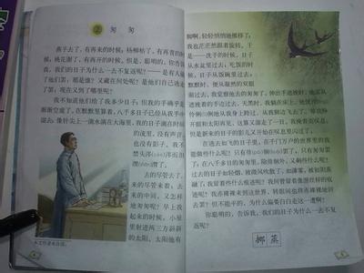 word段落分段 把栏杆拍遍段落划分_把栏杆拍遍分段和段意