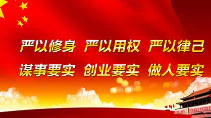 大学生党员学习三严三实感想