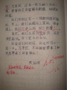 美丽的校园作文400字 关于美丽的校园文章400字