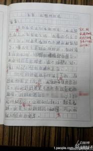 小学生父亲节寄语 小学生关于父亲节作文500字范文5篇