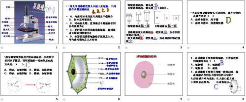 初中生物地理复习方法