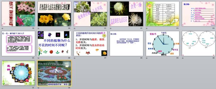 三年级语文花钟教案 三年级上册语文《花钟》教案