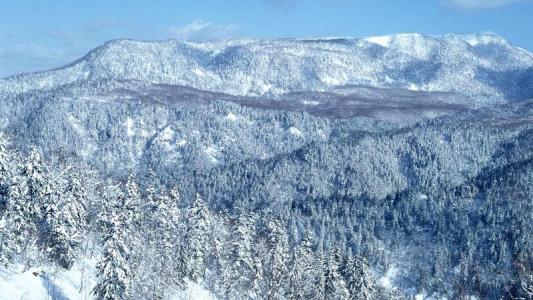 介绍的同义词是什么 冰天雪地同义词是什么