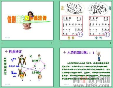 性别决定和伴性遗传 高一生物性别决定与伴性遗传知识点总结