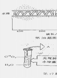 高中生物基础知识填空 如何打好高中生物的基础