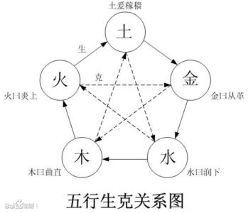 五行木多代表什么 五行中木代表什么意义