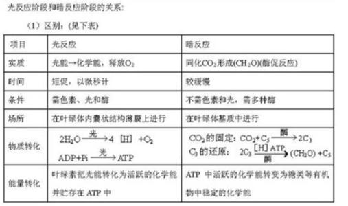 高考生物知识点归纳 2017年高考生物易错知识点大全