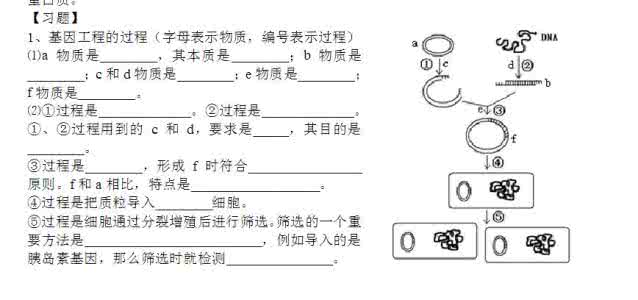 高二生物基因工程同步练习题