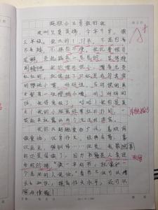 胆小的我作文300字 关于胆小的我作文300字6篇