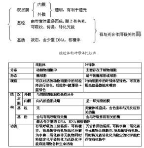 2017高考生物知识点 2017年高考生物细胞器知识点