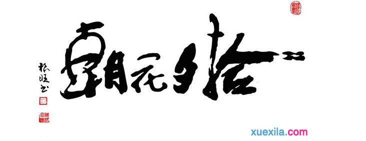 读朝花夕拾有感800字 读鲁迅《朝花夕拾》有感800字