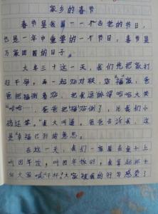 春节作文300个字 关于春节作文300字