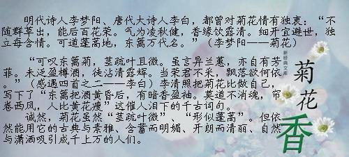 中班育儿知识短篇文章 冬天短篇文章