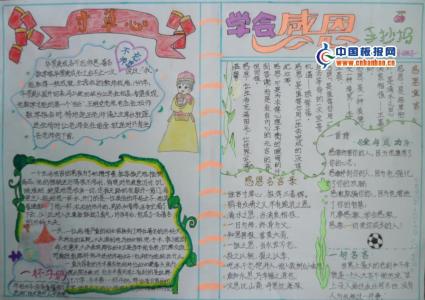 小学生学会感恩演讲稿 小学生学会感恩演讲稿3篇