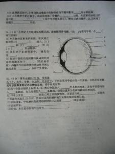 初二下册生物期中试卷 初二下册生物《生物的变异》测试试卷