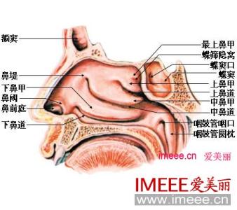 经常鼻塞是什么病 经常鼻塞什么原因