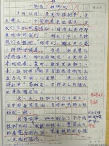 植树感想作文 植树过程200字作文_植树感想200字作文