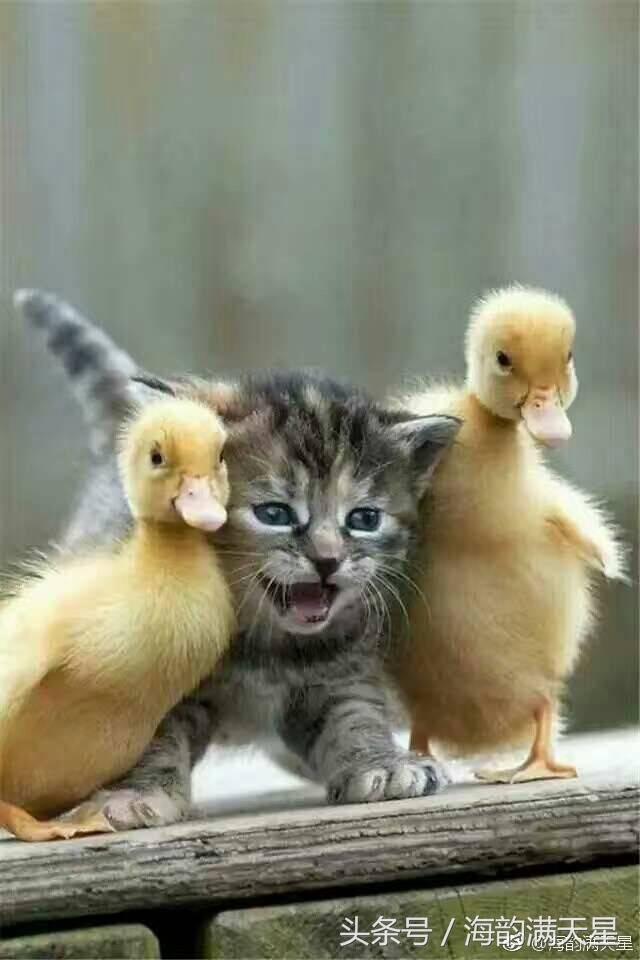 2017年流行21幅经典人性图文道出了人情的冷暖