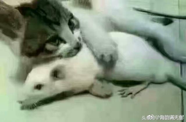 2017年流行21幅经典人性图文道出了人情的冷暖