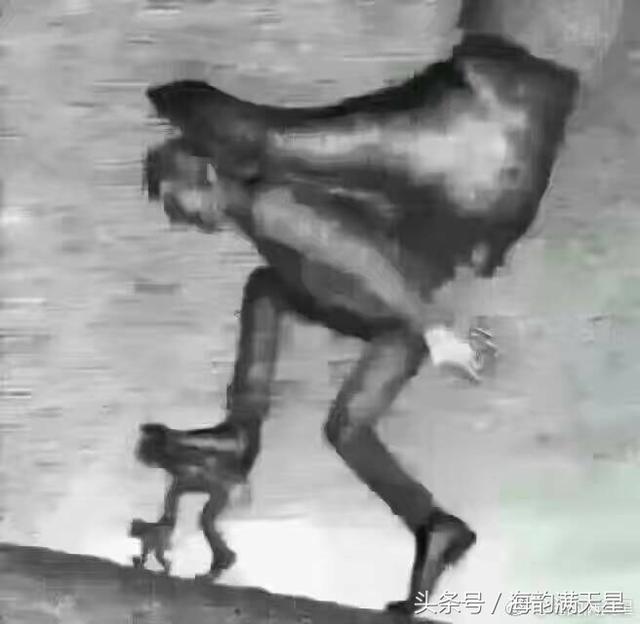 2017年流行21幅经典人性图文道出了人情的冷暖