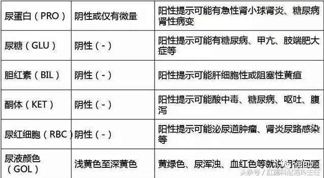 必存！体检报告单的超全解读！教你看懂所有指标，赶紧收藏下来