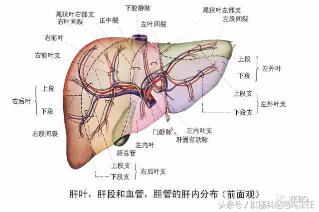 必存！体检报告单的超全解读！教你看懂所有指标，赶紧收藏下来