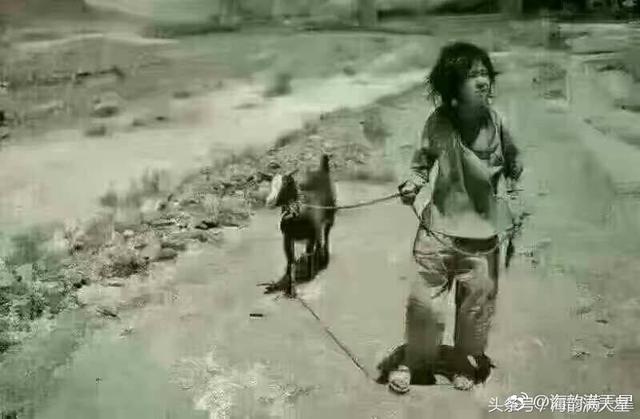 2017年流行21幅经典人性图文道出了人情的冷暖