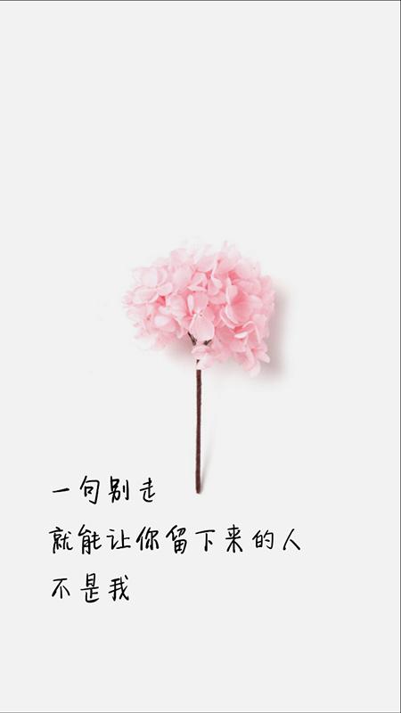 八个句子，我会学着放弃你，因为太爱你