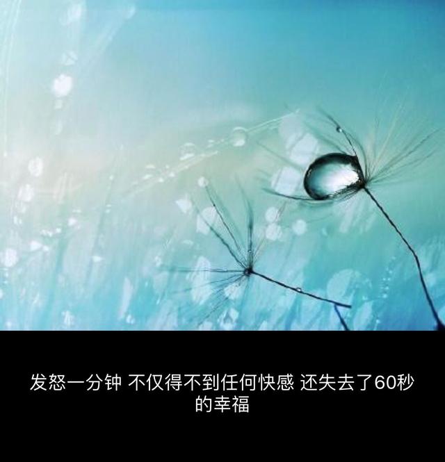 这碗鸡汤，你肯定没有干过！