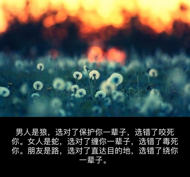 这碗鸡汤，你肯定没有干过！