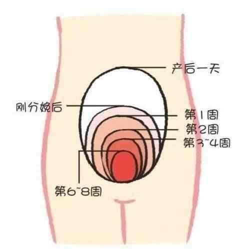 二胎妈咪终于出月子了，分享科学坐月子的经历及怎样恢复兑变辣妈